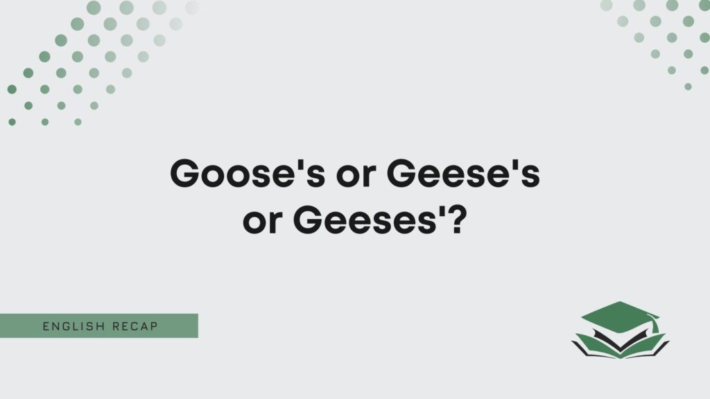 Plural Possessive Of Goose